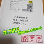 ピンキーシャイニークリーム 買ってみた