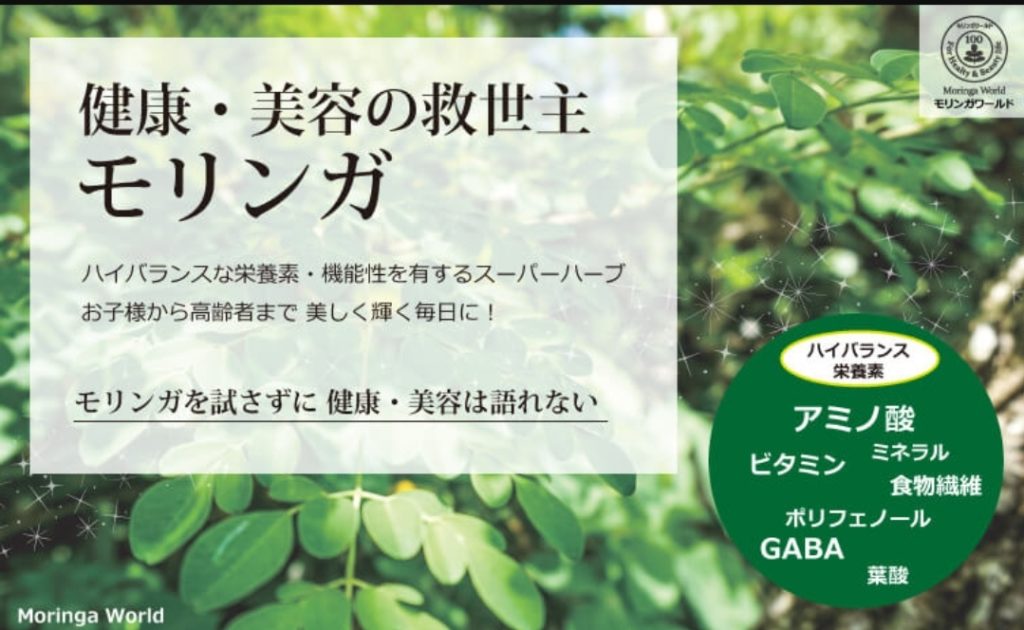 美容の救世主 モリンガ
