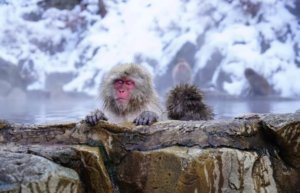 温泉の効果を家で