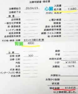 猫の病院代、診療明細書