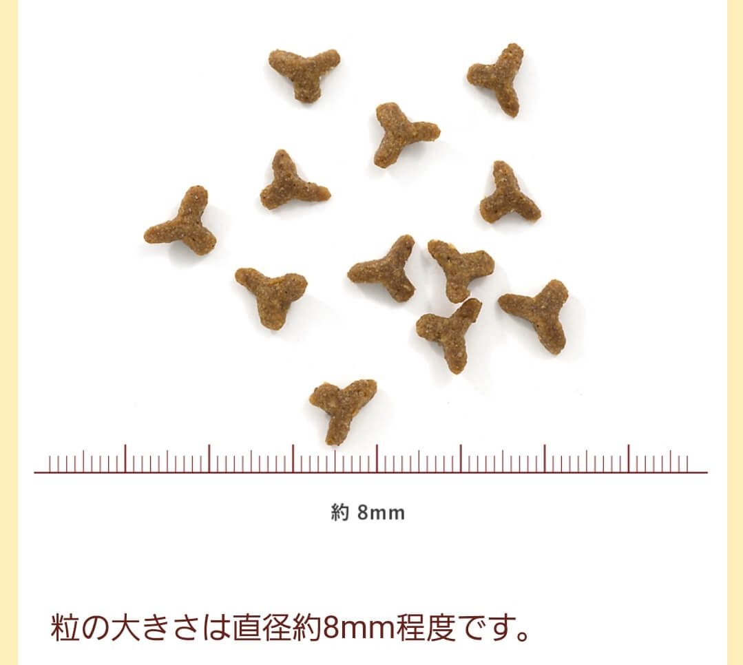 ファインペッツの粒の大きさ