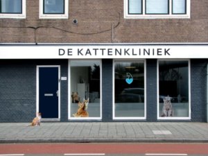 動物病院に開店かける猫