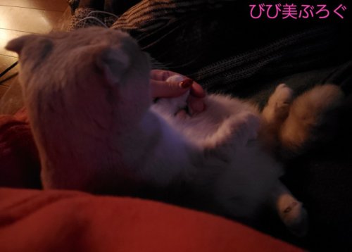 普段よくしてた抱っこのポーズ