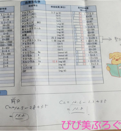 血液検査2回目