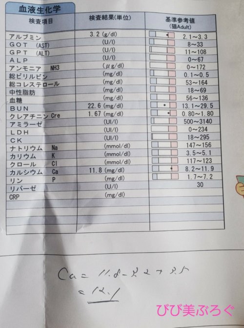血液検査3回目