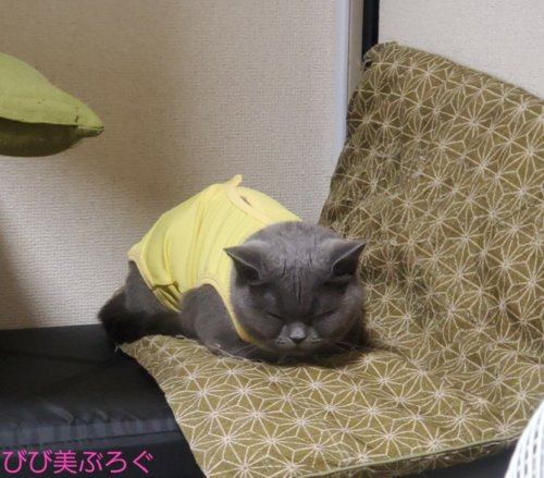 普段寝ないとこで寝る