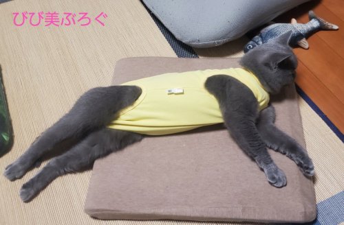 のび～