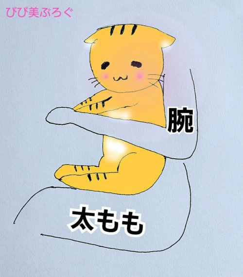 我が家の保定